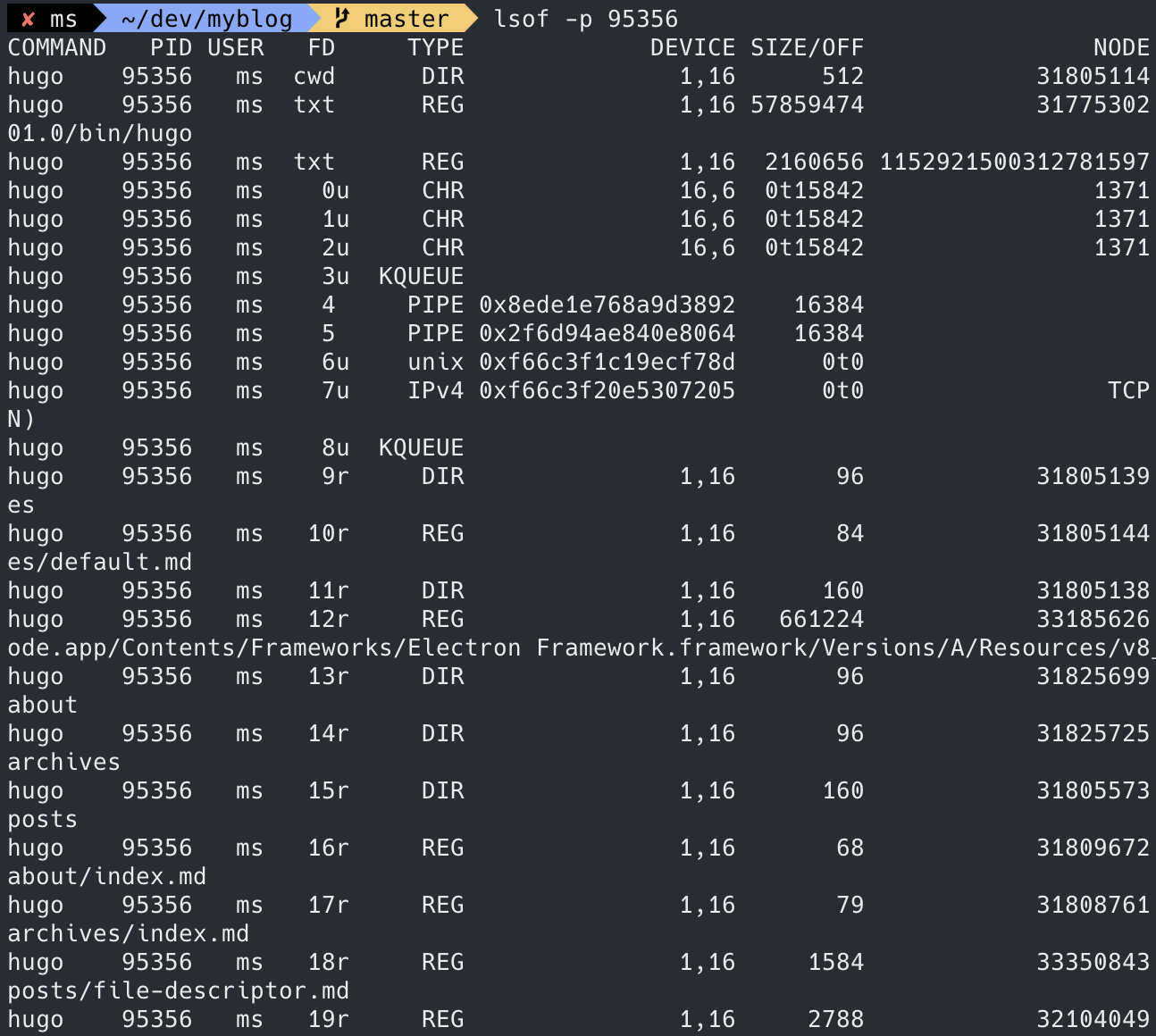 File Descriptor Table